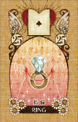 NO.25　指輪